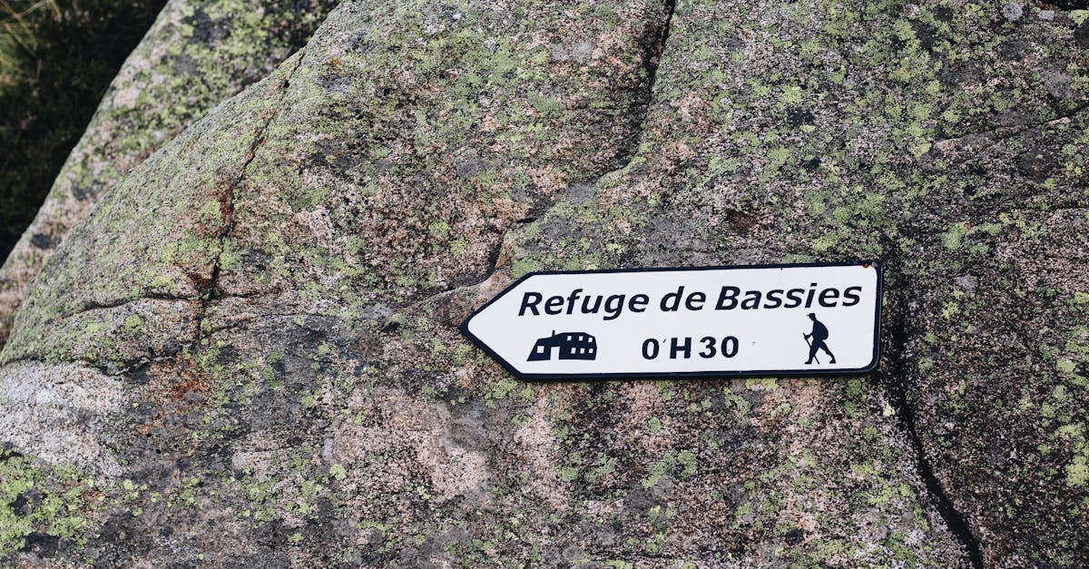 Close-up of a sign on a mossy boulder guiding hikers to Refuge de Bassies in 0H30.