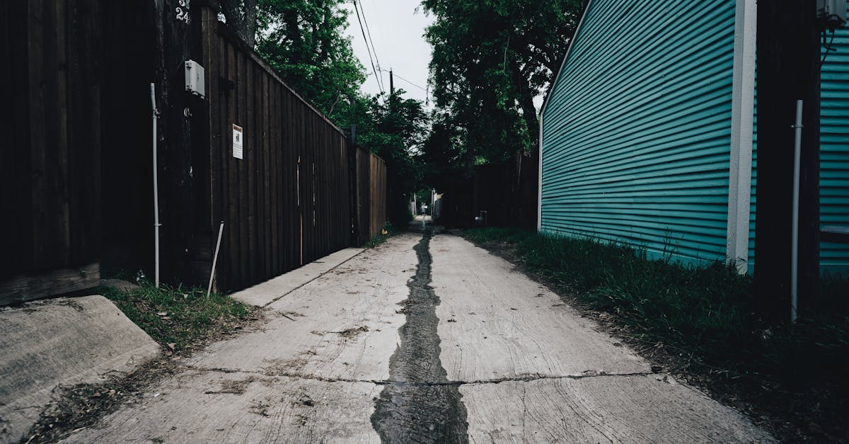 Empty narrow alleyway with a wooden fence and grass, offering a moody atmosphere.