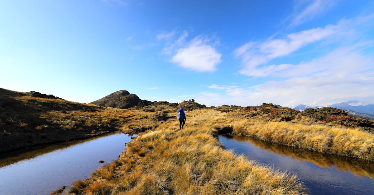 Man hiking in Taiwan's lush mountains near scenic ponds under a clear blue sky. Perfect for adventure and travel themes.