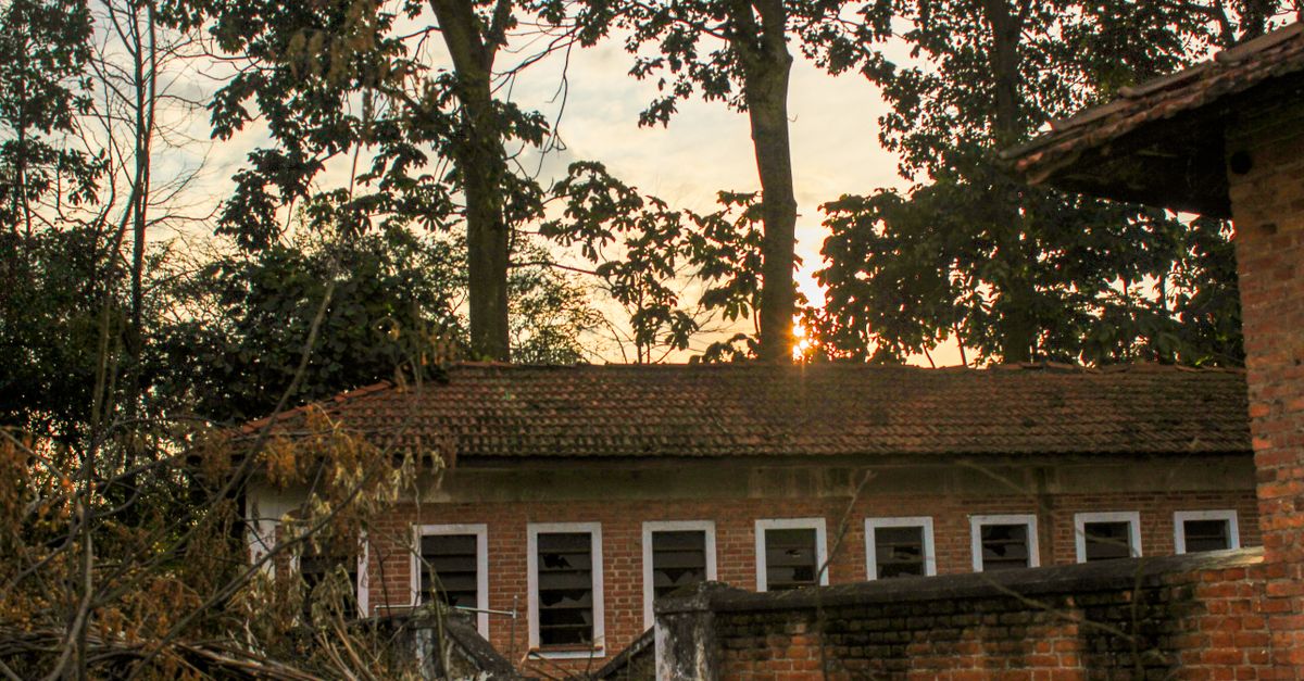 Abandoned building with brick facade amidst trees at sunset, creating a serene urban scenery.