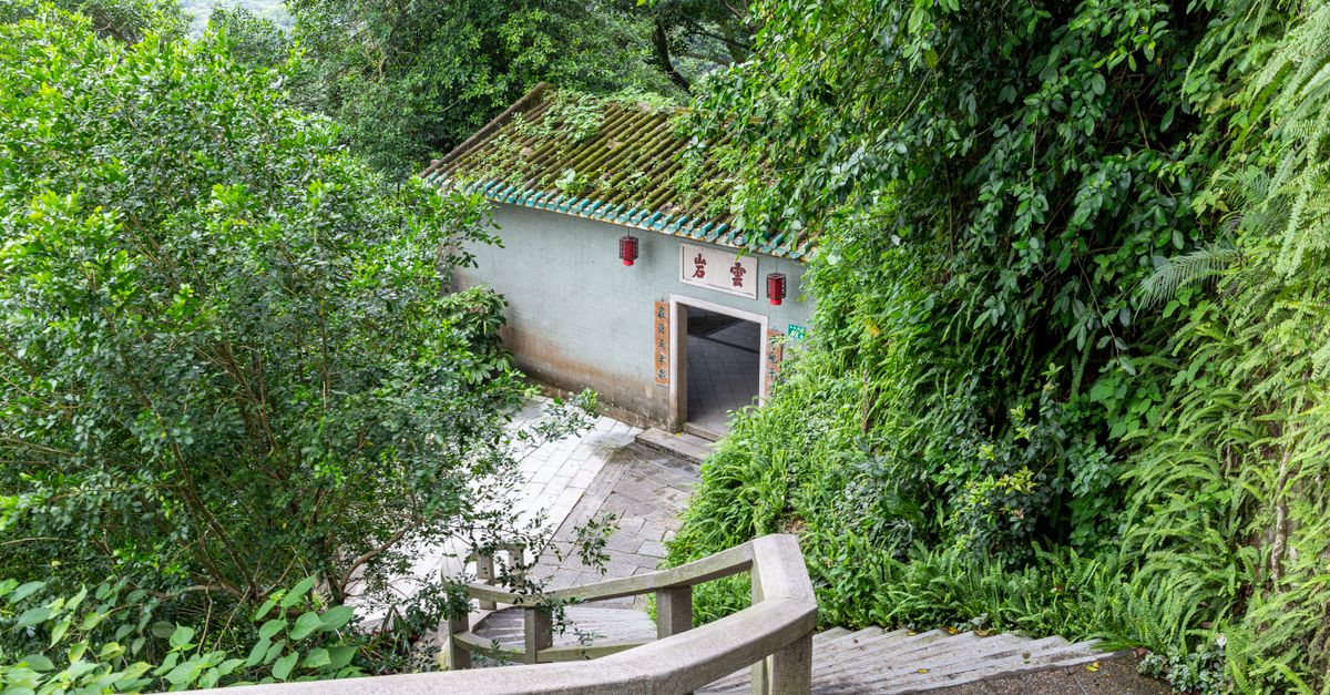 A serene forest path with stairs leading to a hidden building entrance surrounded by greenery.
