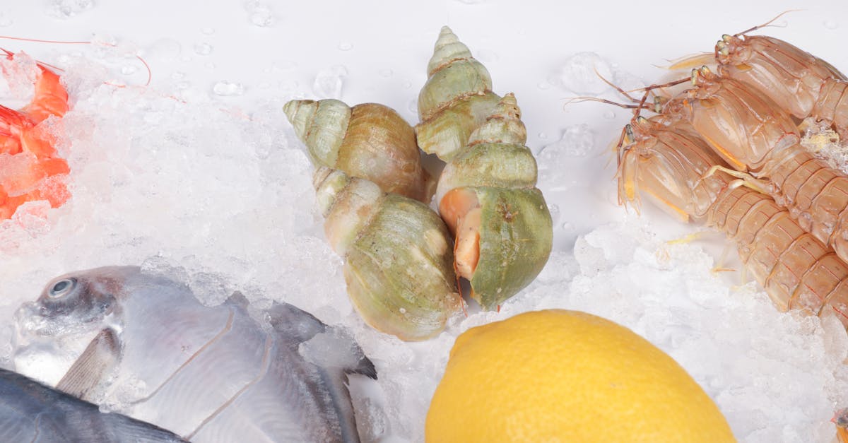 High-quality top view of fresh seafood variety on ice, featuring lemon and shellfish.