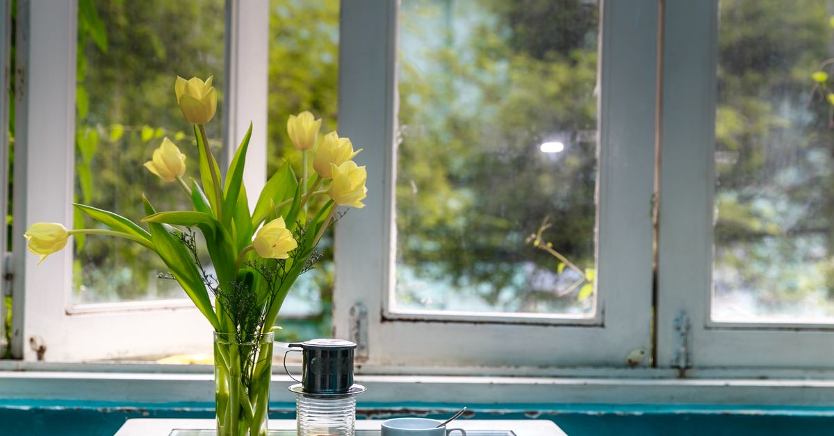 Bright indoor setting with yellow tulips in a vase and coffee on a glass table by a window.