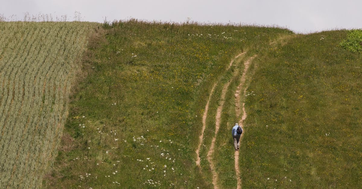 A lone hiker walks up a grassy hill in the countryside, surrounded by nature.