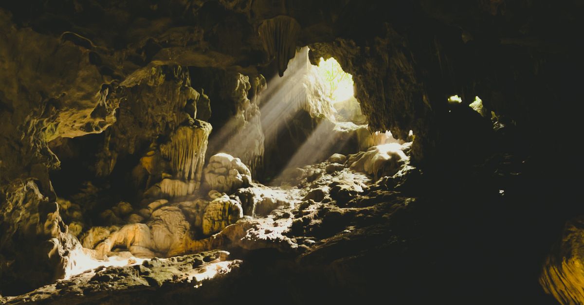 third_section_image_data.image_alt