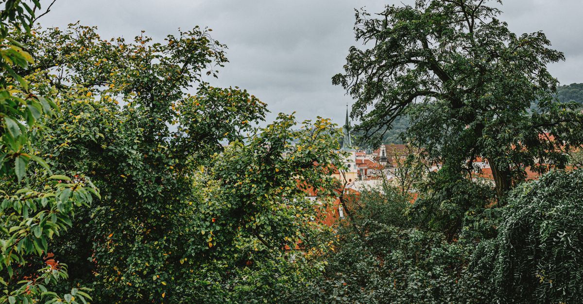 third_section_image_data.image_alt