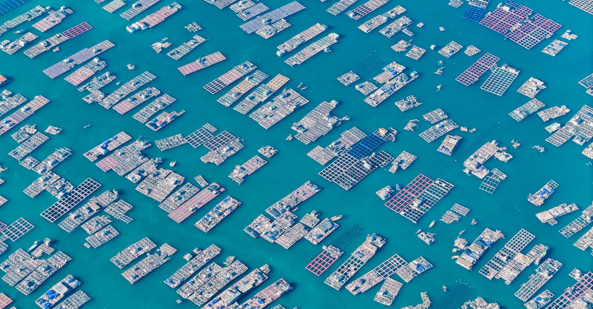 third_section_image_data.image_alt