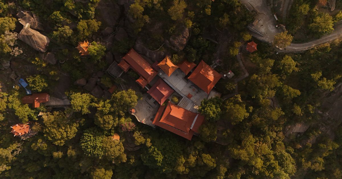 Aerial shot of a temple with red roofs surrounded by dense forest on a hilltop.