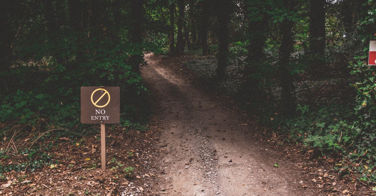 A dirt path in a dense forest marked with a 'No Entry' sign, creating a sense of mystery.