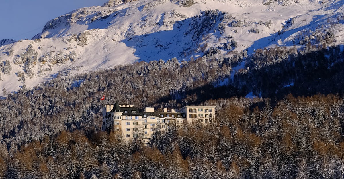 A scenic view of a luxurious hotel nestled in snow-covered alpine mountains amidst a dense winter forest.