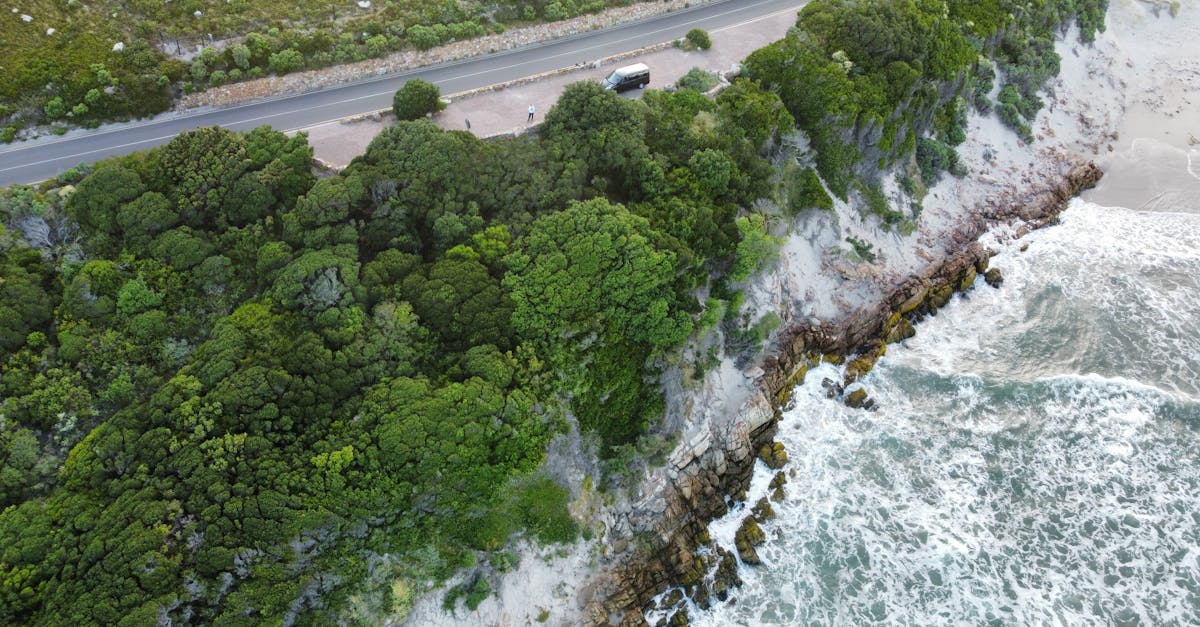 A breathtaking aerial view of a rocky coastline with dense greenery and crashing waves.