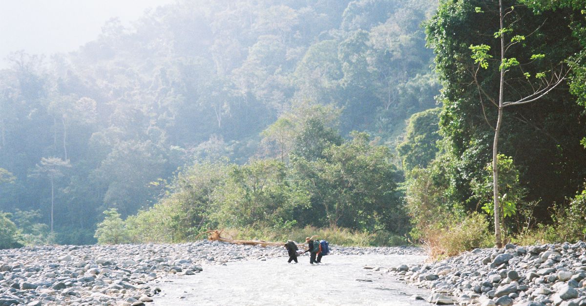 Three hikers traverse a river surrounded by dense forest, under the bright daylight.