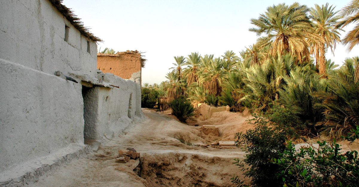 Explore the rustic beauty of adobe structures and lush palm groves in Kerdouss, Morocco.