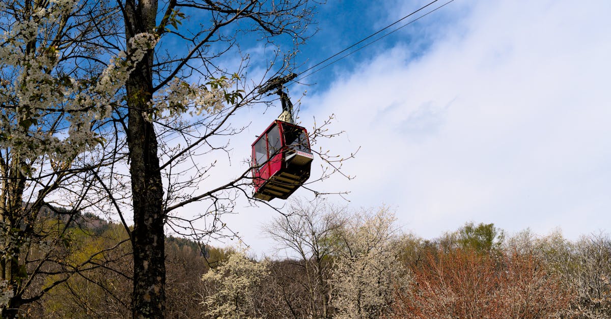 A red cable car passes through blossoming trees under a clear blue sky.