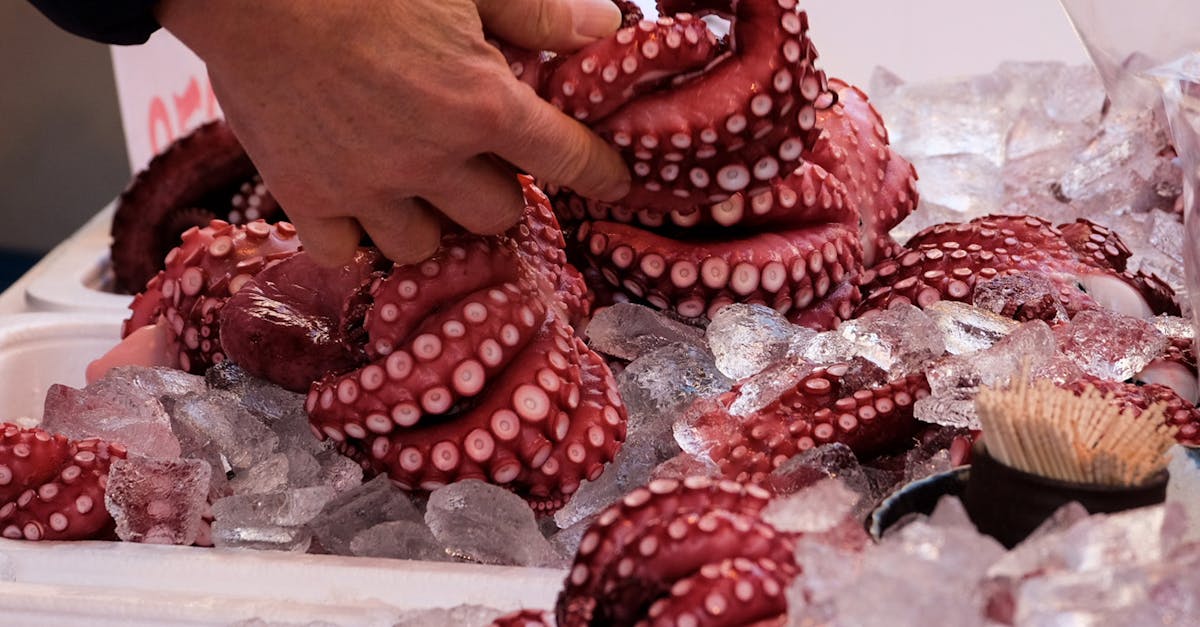 Close-up of fresh octopus tentacles displayed on ice at a market, being selected by a hand.