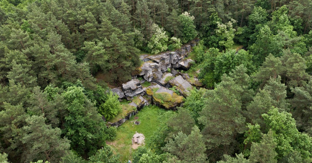 Aerial shot of historical ruins surrounded by dense forest in Wieliszew, Poland.