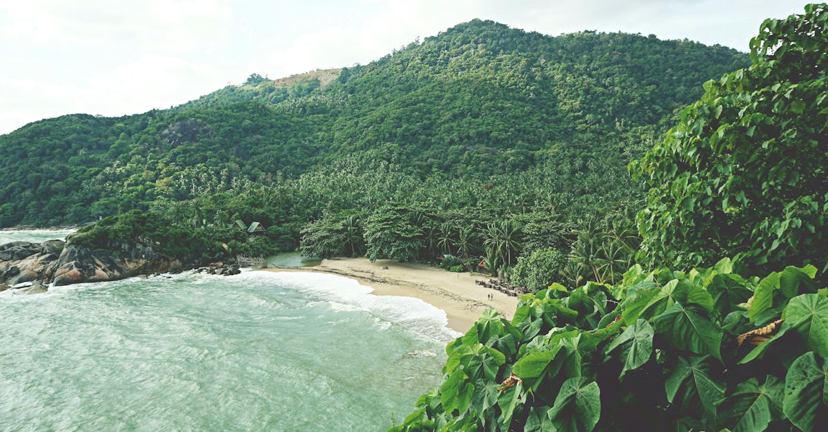 third_section_image_data.image_alt