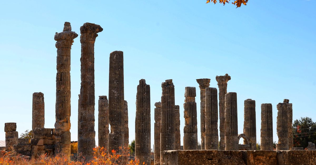 Explore ancient Roman columns under a clear blue sky, surrounded by autumn foliage.