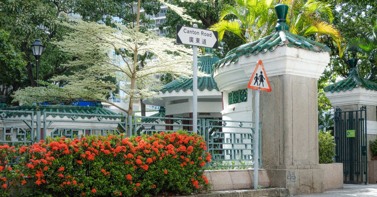 Vibrant greenery and urban architecture on Canton Road, Hong Kong, with flowers and street signs.