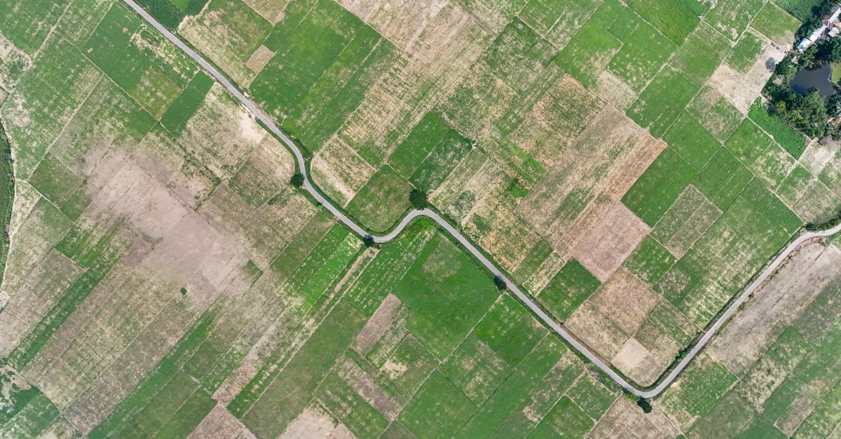 third_section_image_data.image_alt