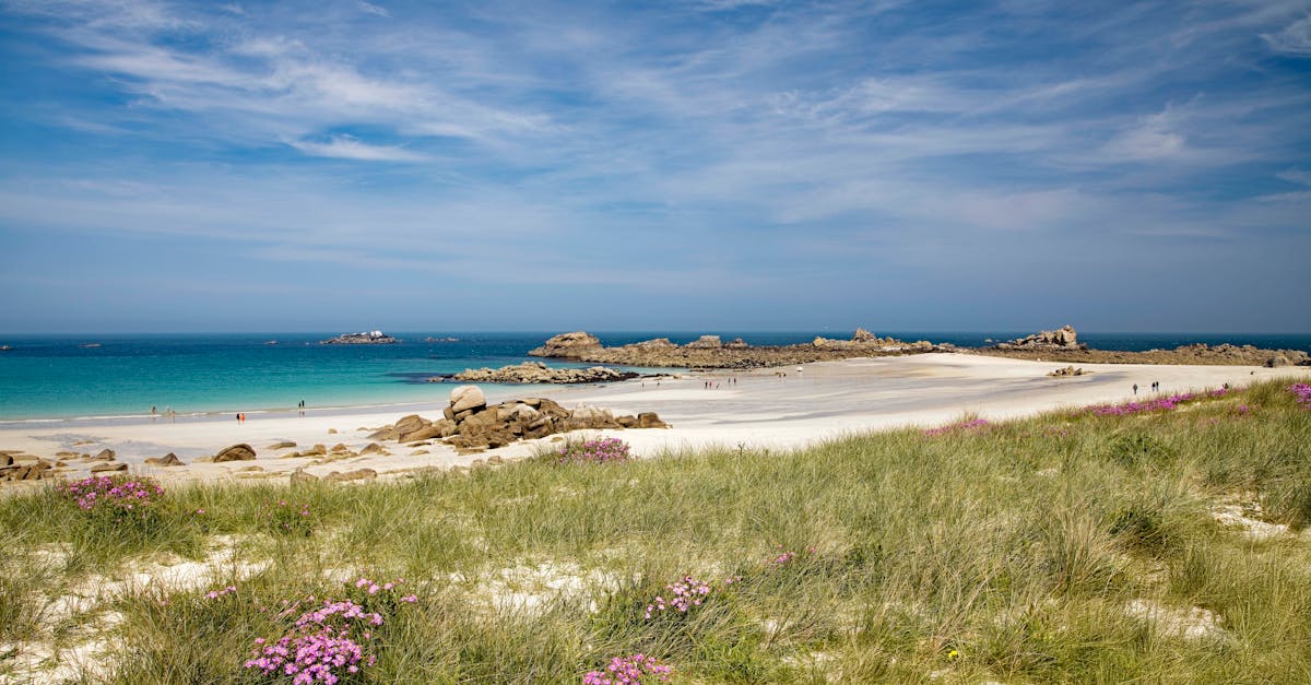 Beautiful sandy beach in Bretagne, France with clear blue waters and wildflowers.