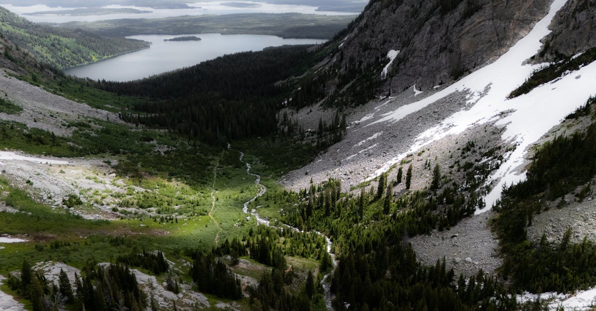 A scenic view of a lush green valley surrounded by rocky mountains with a distant lake. Perfect for nature themes.