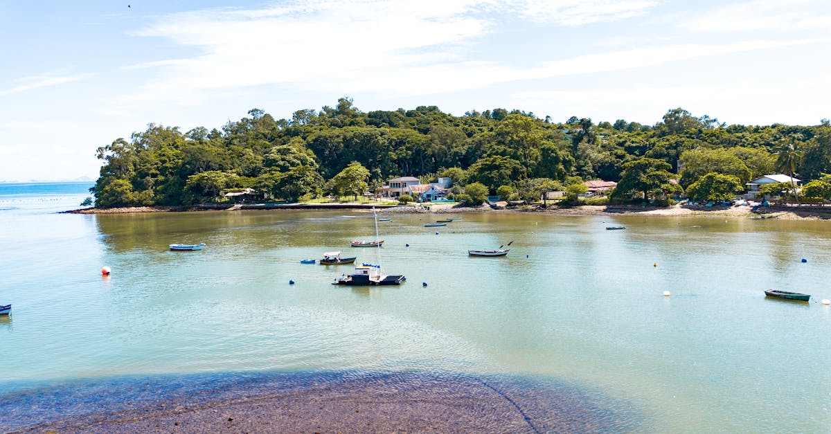 Serene aerial shot showcasing a calm bay with boats and lush greenery on an island.
