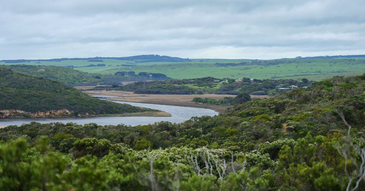 Lush greenery along the scenic Great Ocean Road, offering breathtaking views of nature and coastline.