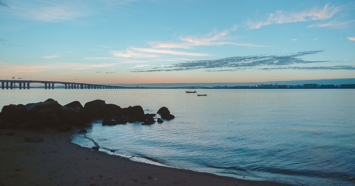 third_section_image_data.image_alt