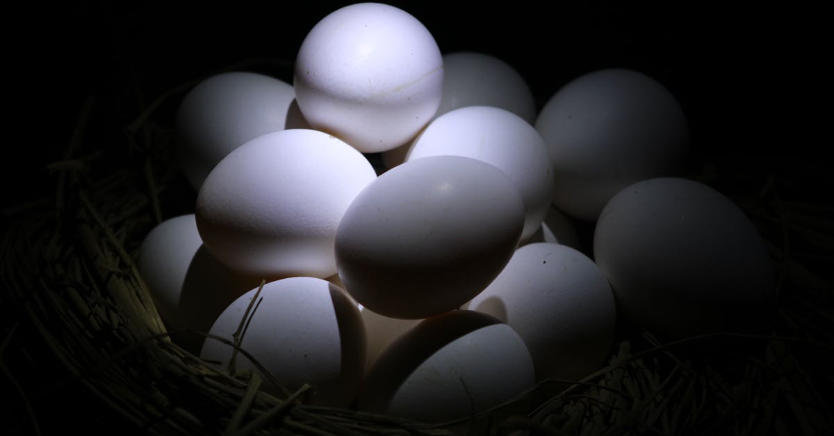 A cluster of white eggs in a nest, captured in low light with dramatic shadows.
