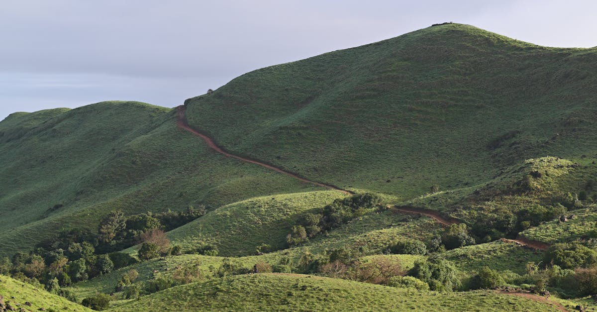 third_section_image_data.image_alt