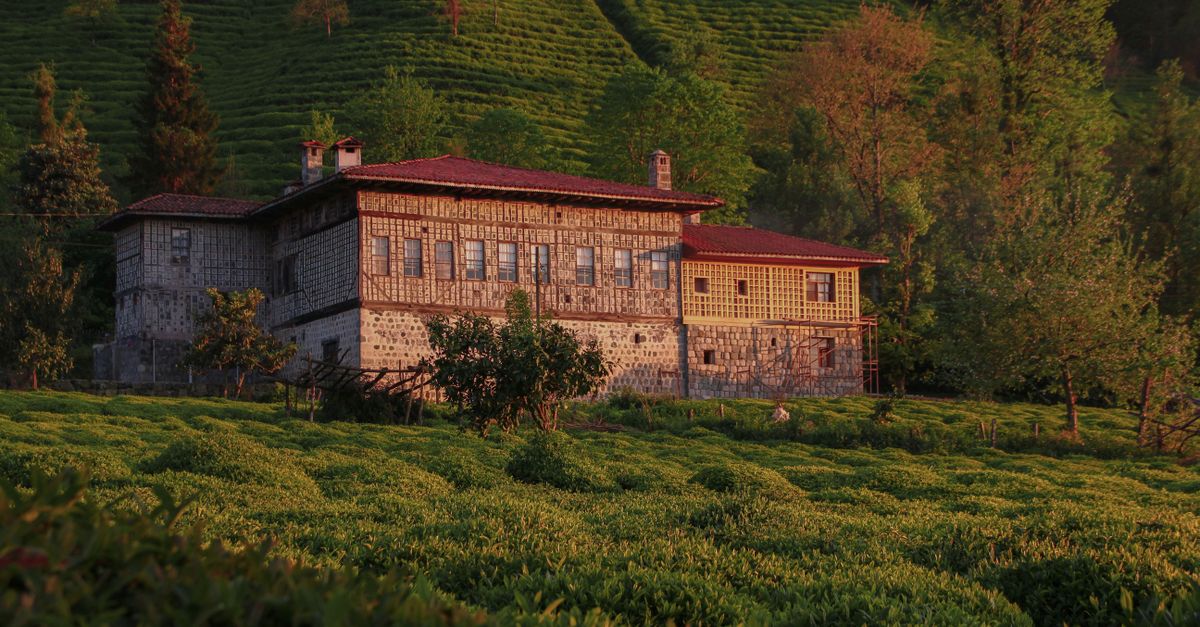 A charming traditional house amidst a verdant tea plantation in Fındıklı, Rize, Türkiye.