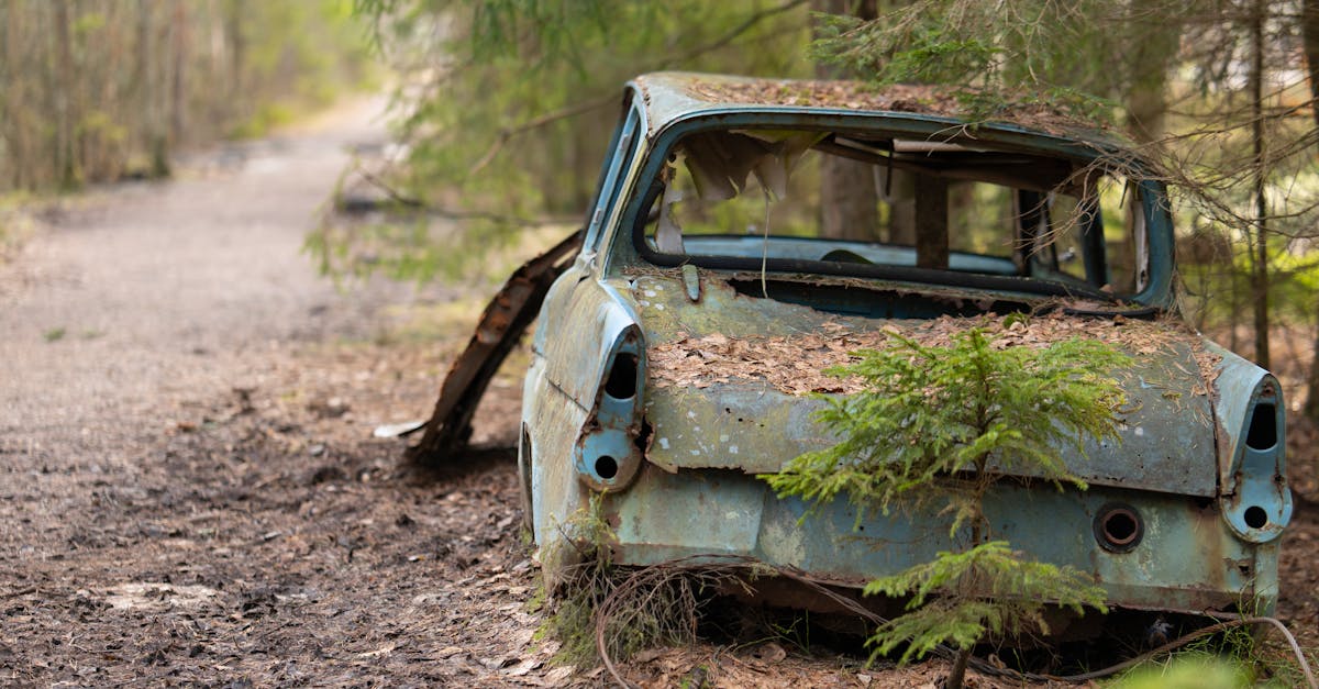 A close-up of an old, rusted car abandoned in a forest path surrounded by greenery.
