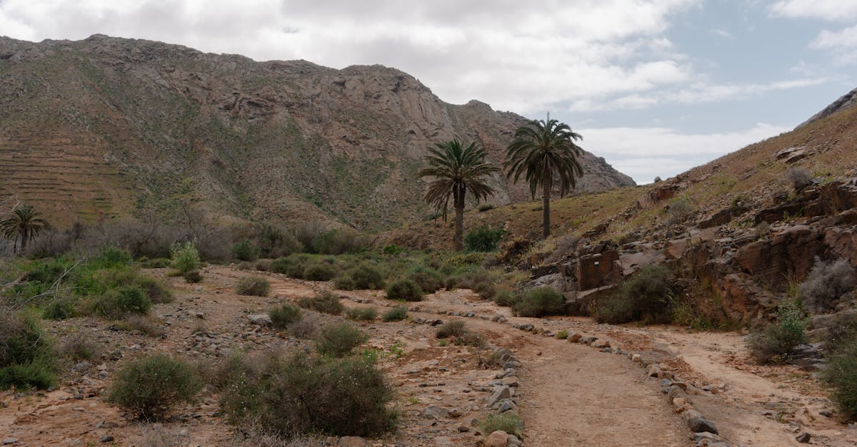 third_section_image_data.image_alt