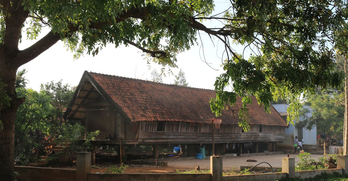 Capture of a traditional Vietnamese house in a serene rural landscape, bathed in daylight.