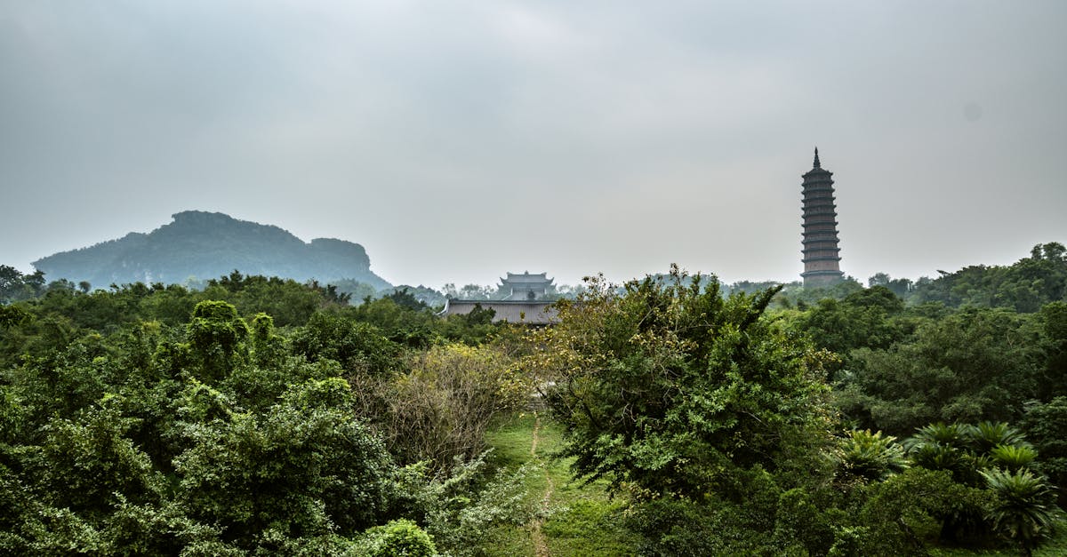 Serene view of lush greenery and Bai Dinh Pagoda in Ninh Binh, Vietnam under an overcast sky.