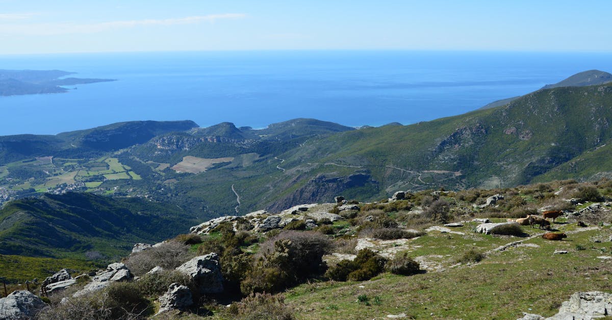 Breathtaking aerial view of Bastia's coastline and mountains with the Mediterranean Sea in the background.