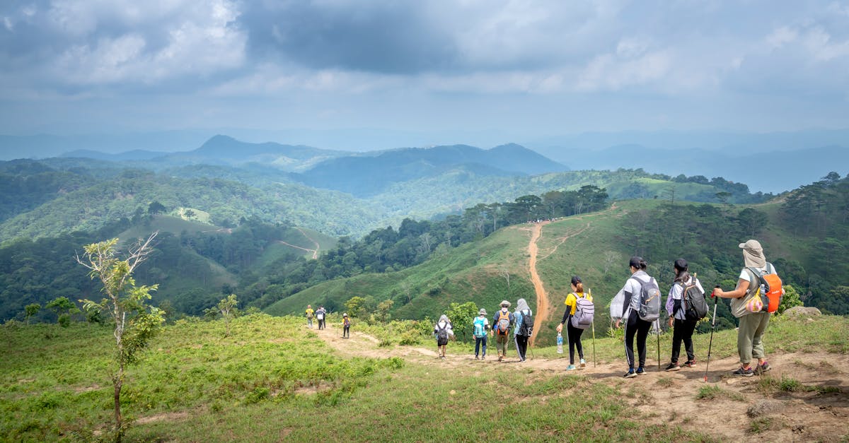 Back view of unrecognizable people with backpacks walking on path located on slope of grassy hill against backdrop of amazing alpine view on overcast weather