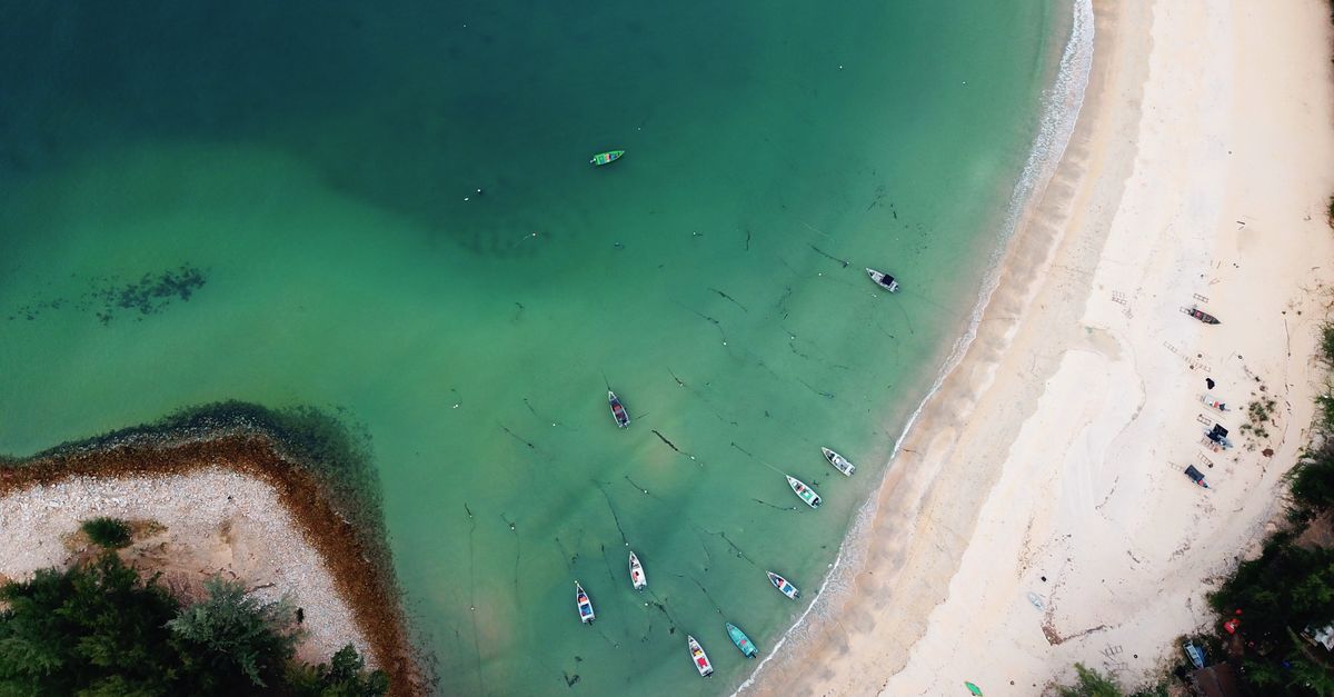 Drone view of sandy shore with trees near green ocean with nautical transport on summer day