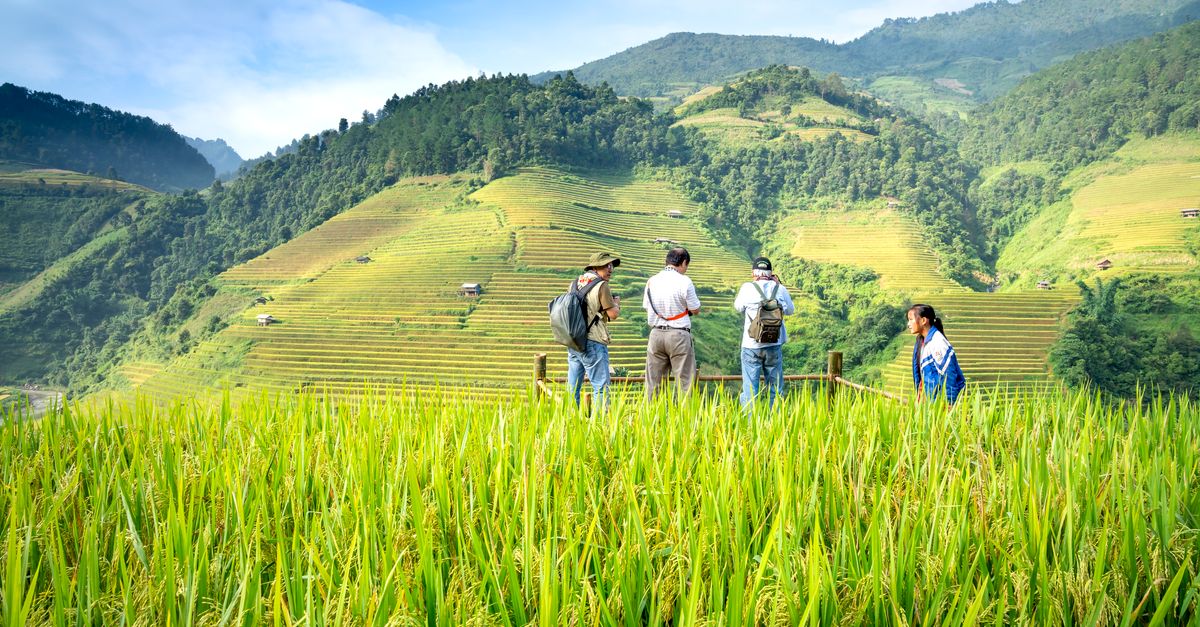 Anonymous ethnic travelers with rucksacks interacting between rice plantation and green mountain with trees under cloudy blue sky in countryside
