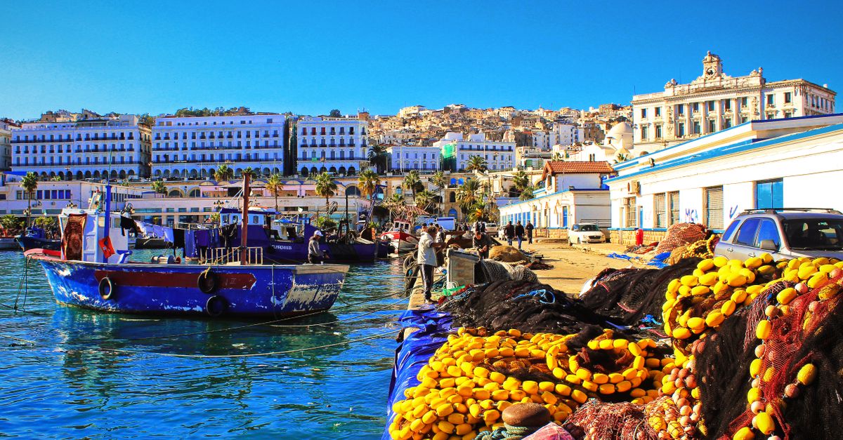 Vibrant day at the Casbah harbor with boats, fishing nets, and waterfront architecture.