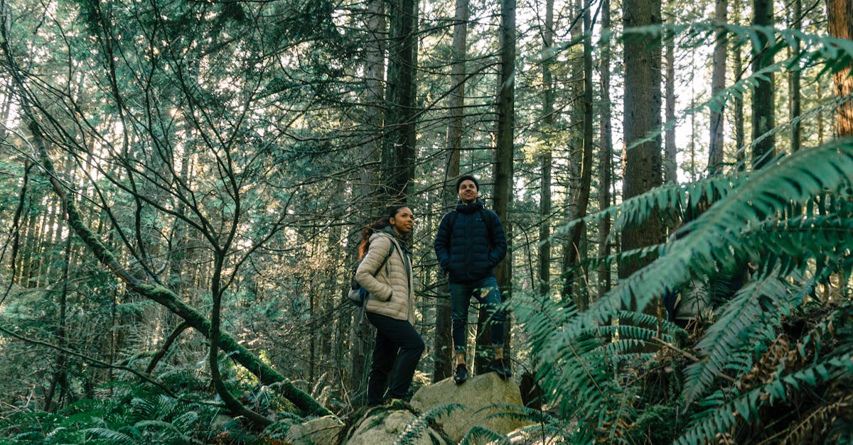 Two hikers exploring a lush, dense forest trail, surrounded by towering trees and greenery.