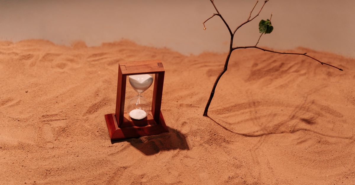 A minimalist scene featuring an hourglass on sand next to a bare branch, symbolizing time and nature.