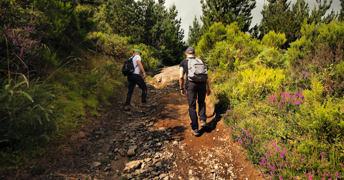 third_section_image_data.image_alt