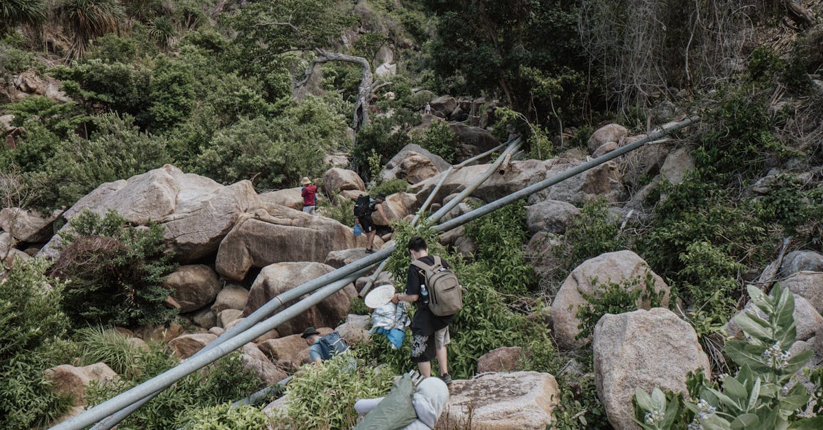 A group of hikers exploring rocky terrain surrounded by lush greenery on a mountain trail.