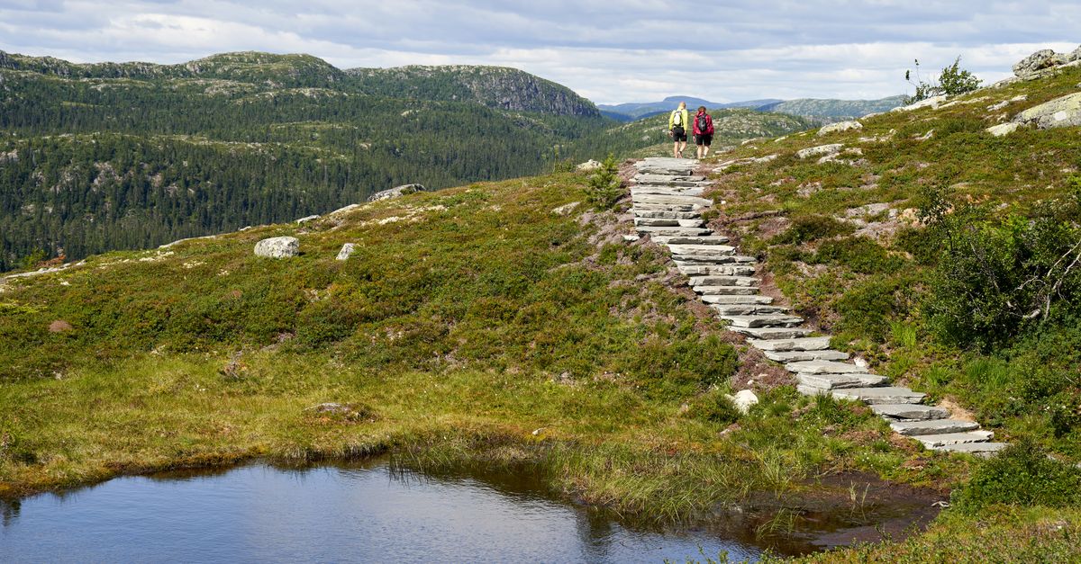 Two hikers ascend a stone path in a lush summer mountain landscape with serene water pool.
